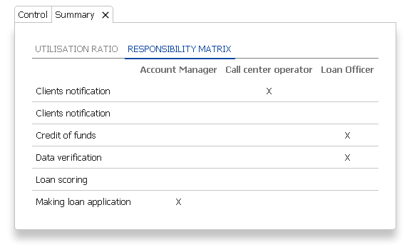 Responsibility Matrix